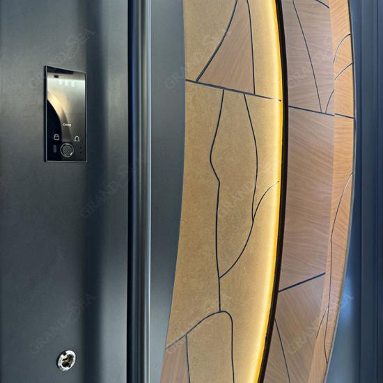 modern aluminium pivot doors